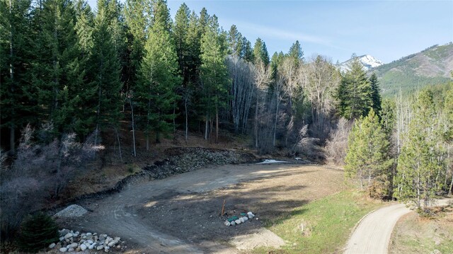 305 Jorgy Way, Hamilton, MT 59840