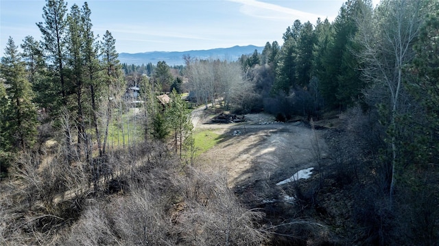305 Jorgy Way, Hamilton, MT 59840