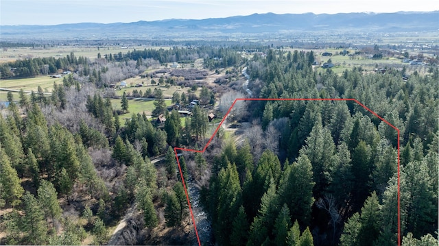 305 Jorgy Way, Hamilton, MT 59840