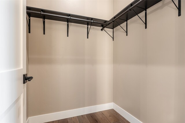 walk in closet featuring wood-type flooring