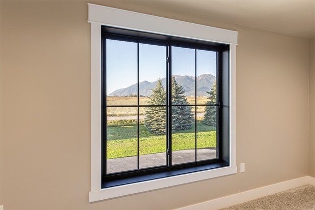 details featuring a mountain view and carpet floors