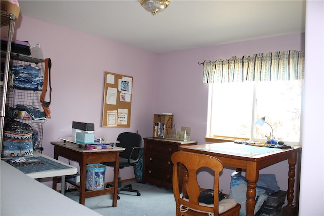 95 Furman Ln, East Helena, MT 59635 - office area with carpet flooring
