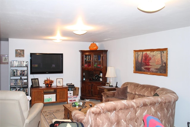 95 Furman Ln, East Helena, MT 59635 - view of living area