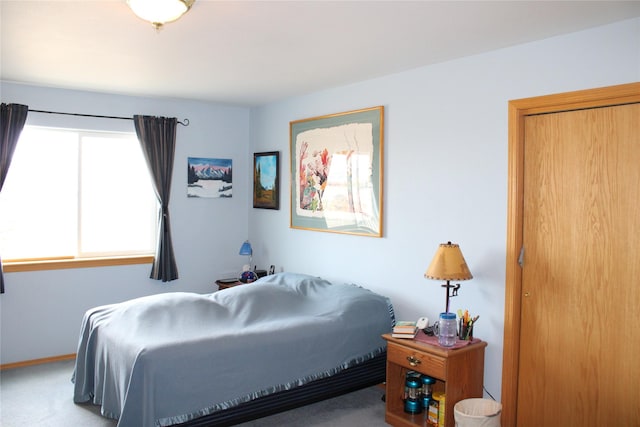 95 Furman Ln, East Helena, MT 59635 - view of carpeted bedroom