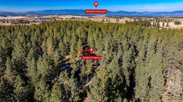 drone / aerial view featuring a mountain view