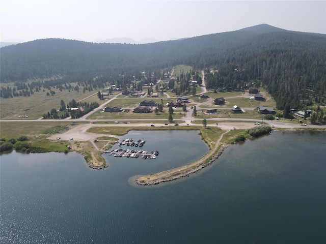 drone / aerial view with a water and mountain view