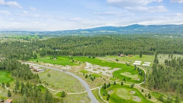 87 Rusty Iron Way, Eureka, MT 59917 - aerial view with a mountain view
