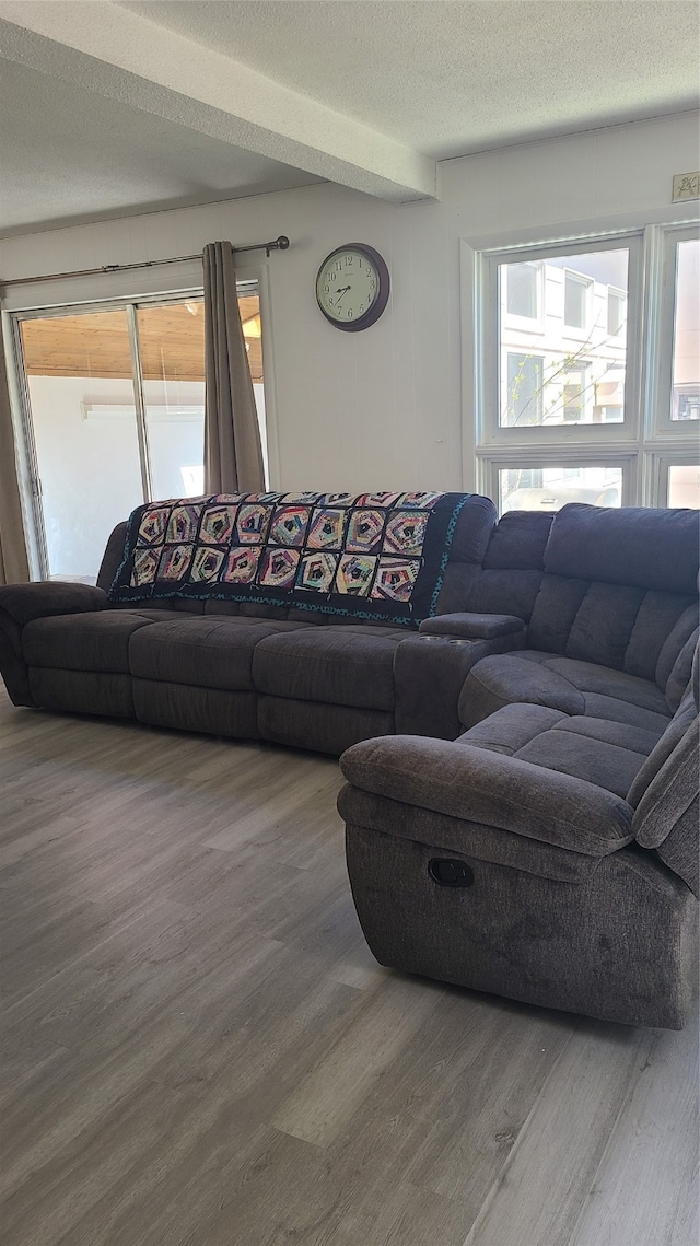 living room with hardwood / wood-style floors and a textured ceiling