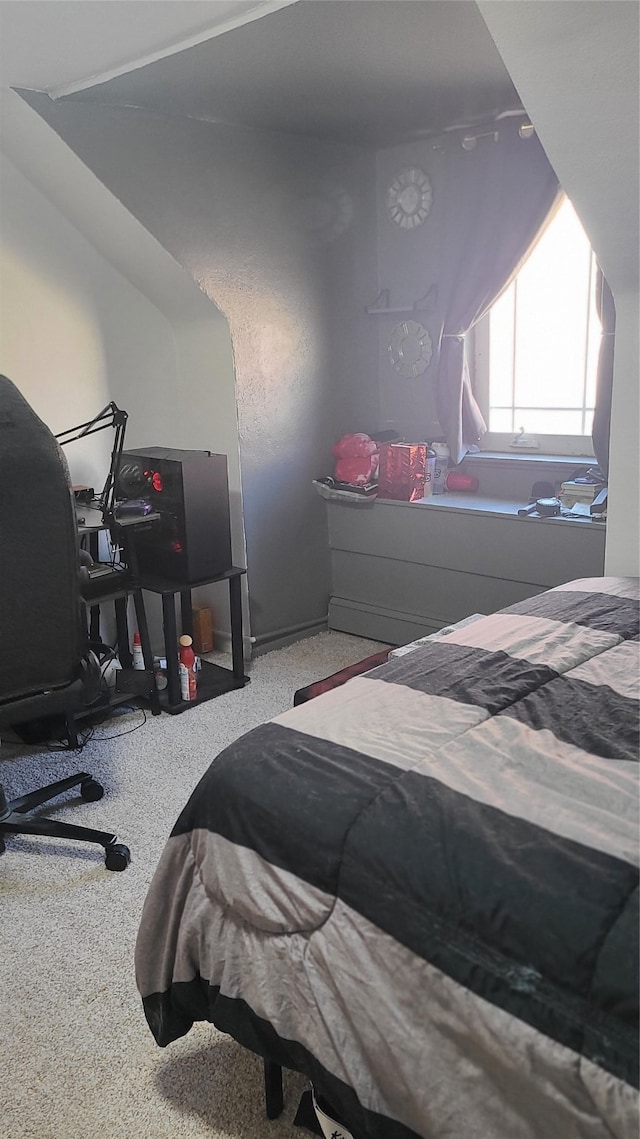 bedroom with carpet floors