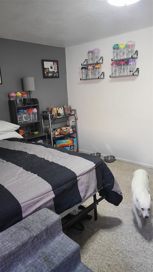 bedroom with carpet floors