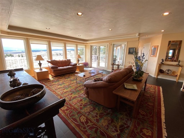 living room featuring french doors, plenty of natural light, dark wood-type flooring, and a tray ceiling