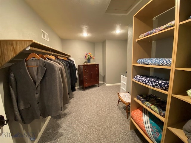 spacious closet featuring carpet flooring