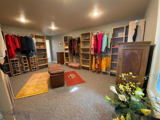 spacious closet featuring dark colored carpet