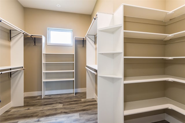 spacious closet featuring dark hardwood / wood-style floors