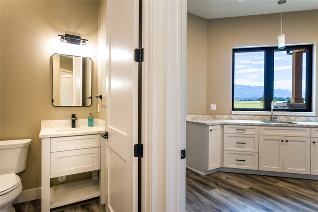 bathroom with wood-type flooring, vanity, toilet, and a mountain view