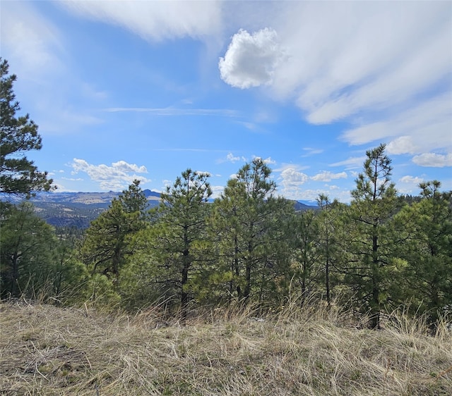 Listing photo 2 for 454 Sugarloaf Mountain Ln, Cascade MT 59421