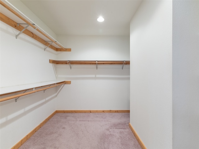 spacious closet featuring carpet flooring