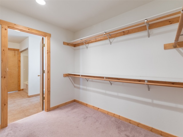 walk in closet featuring carpet