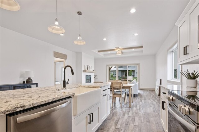 kitchen with pendant lighting, light hardwood / wood-style flooring, stainless steel appliances, and white cabinets