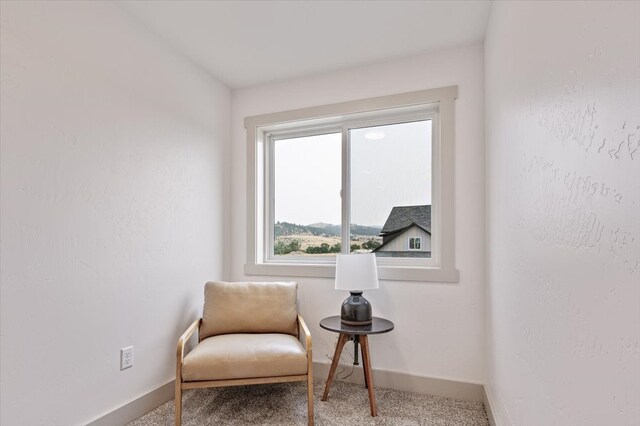 sitting room featuring carpet floors