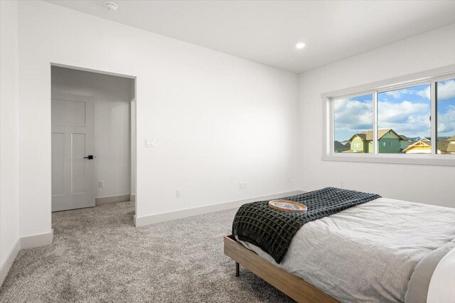 5539 Fireweed Loop, Helena, MT 59602 - unfurnished bedroom with a closet, light colored carpet, and baseboards