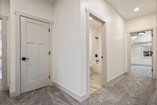 hallway featuring carpet floors