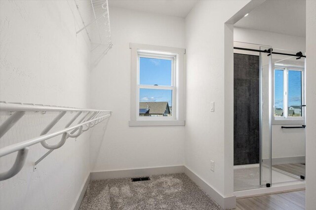 5539 Fireweed Loop, Helena, MT 59602 - walk in closet with visible vents