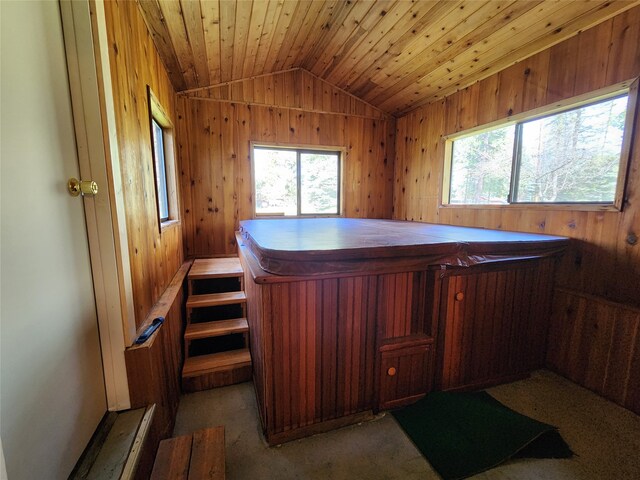 bar featuring a hot tub, wooden walls, and a wealth of natural light