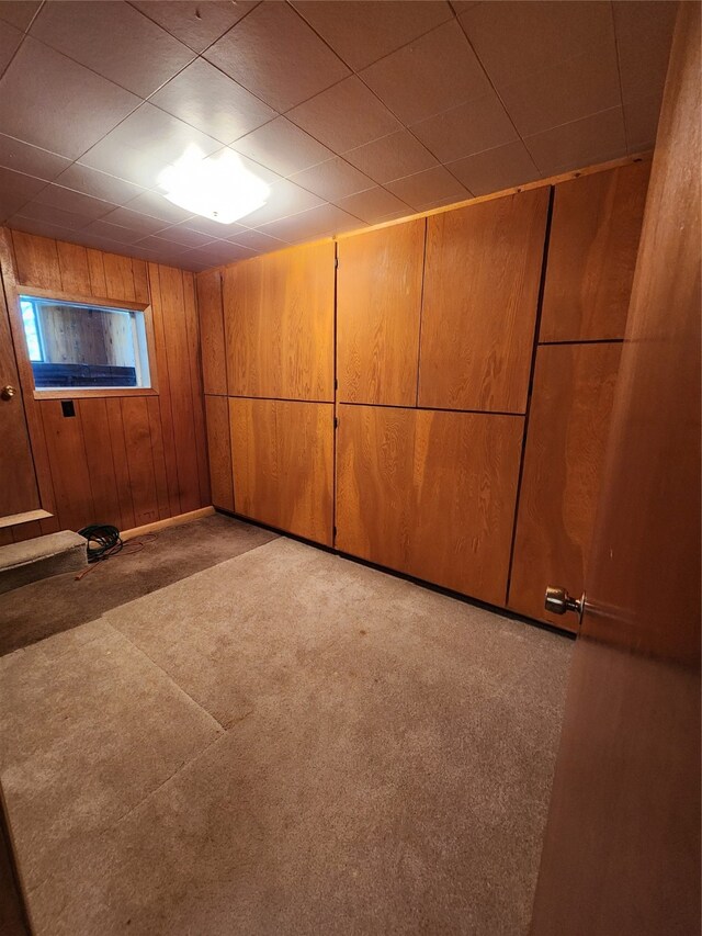 finished basement with wooden walls