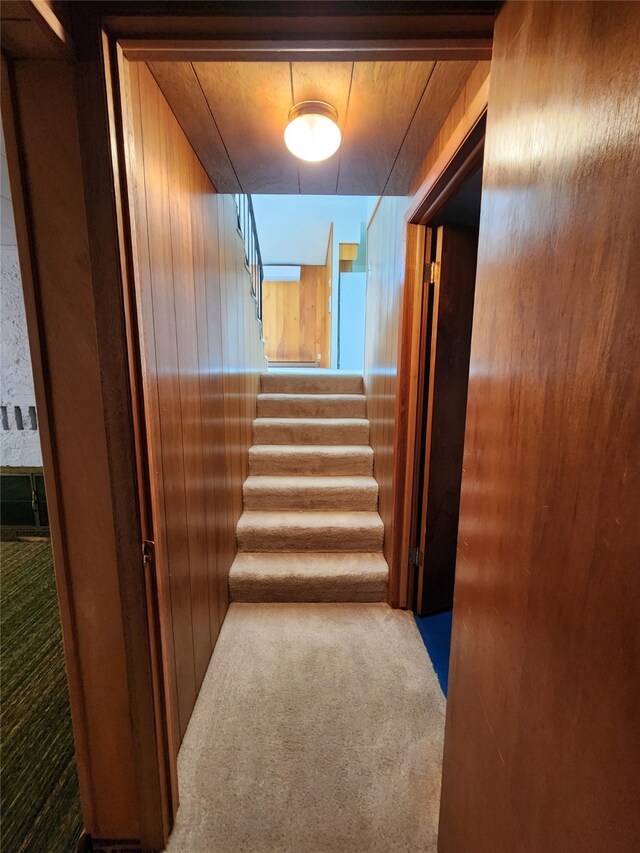 hallway with wood walls, carpet, and stairway