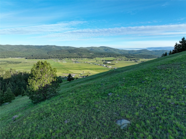 view of mountain feature