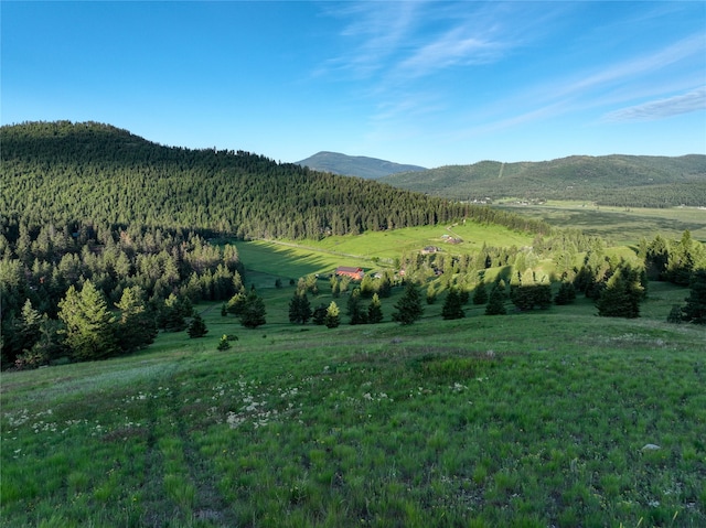 view of mountain feature