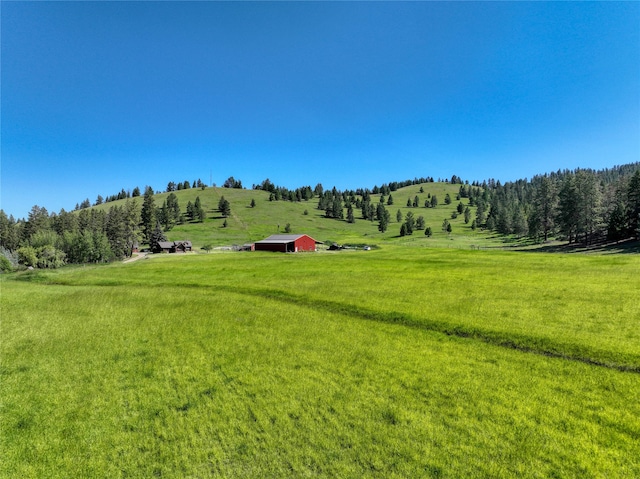 view of yard with a rural view