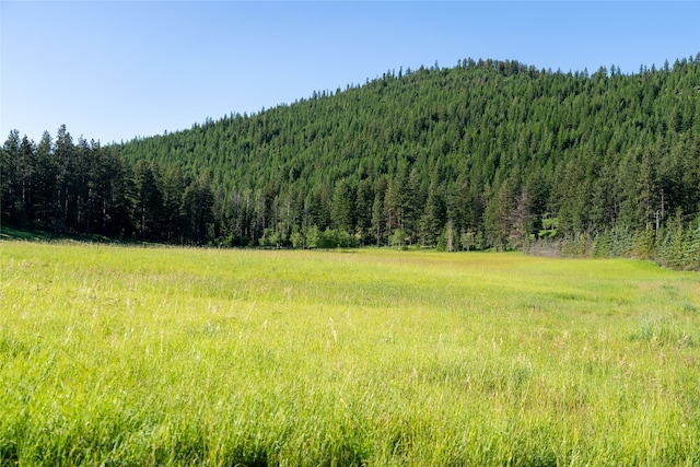 view of mountain feature