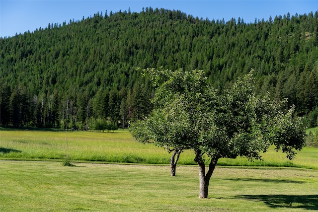 view of mountain view