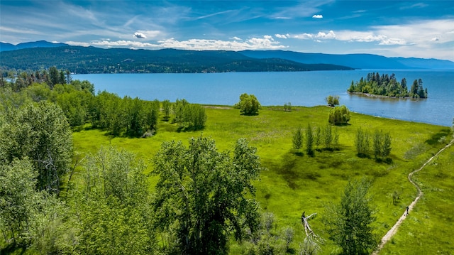 Listing photo 3 for 440 Holt Dr Lot D, Lot D, Bigfork MT 59911