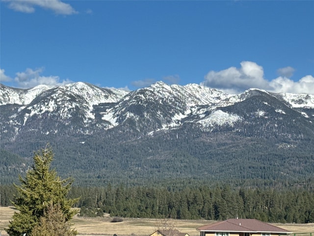 view of mountain feature