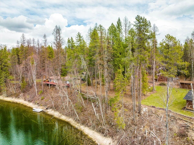 Listing photo 3 for 518 Eastman Dr, Bigfork MT 59911