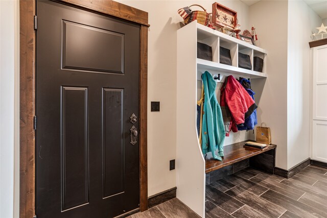 mudroom featuring dark hardwood / wood-style floors