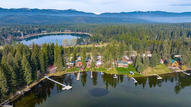 drone / aerial view featuring a water and mountain view