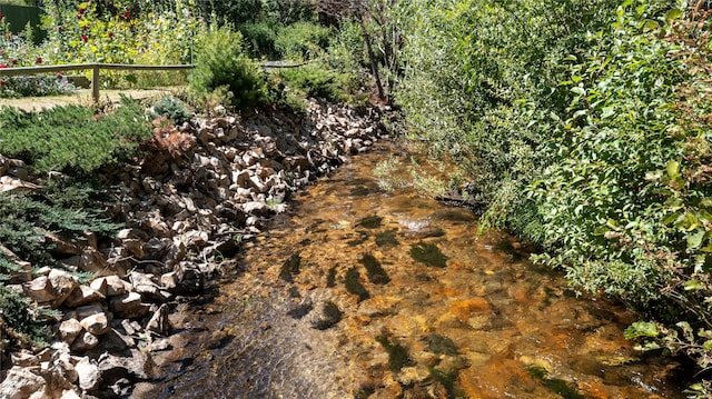 view of local wilderness featuring a water view