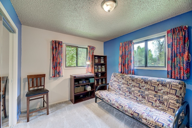 sitting room with a textured ceiling and carpet floors