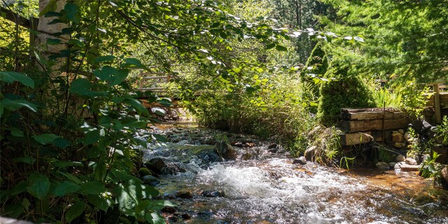 view of local wilderness featuring a water view