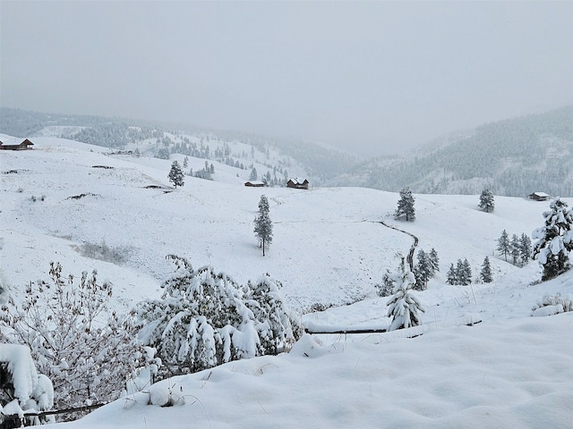 view of mountain feature