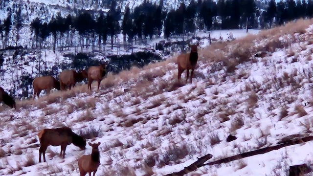 view of snowy landscape