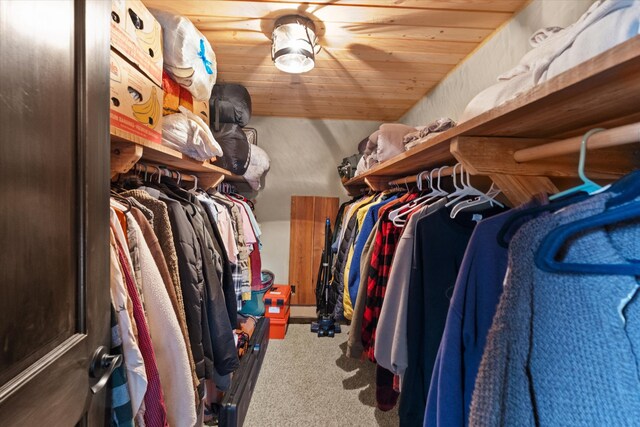 spacious closet featuring carpet flooring