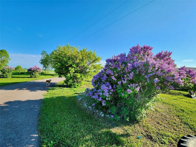 630 18th Rd NW, Choteau, MT 59422 - exterior space
