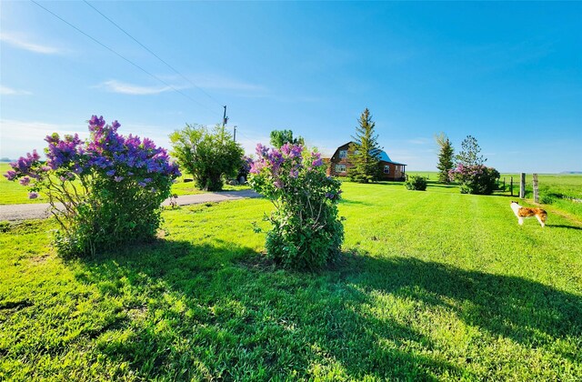 630 18th Rd NW, Choteau, MT 59422 - view of yard