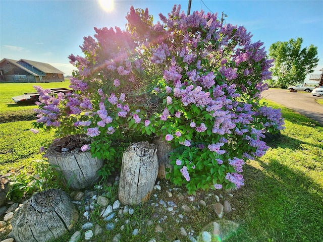 630 18th Rd NW, Choteau, MT 59422 - exterior space