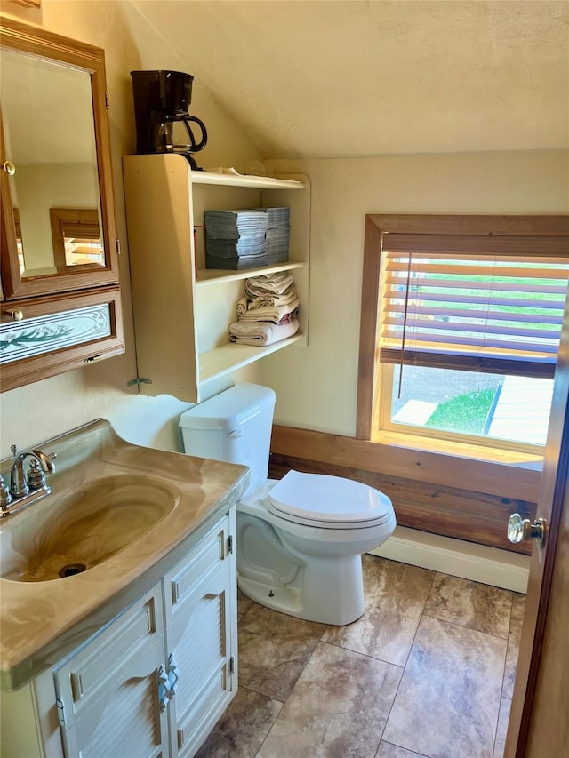 630 18th Rd NW, Choteau, MT 59422 - bathroom featuring toilet, vanity, and vaulted ceiling